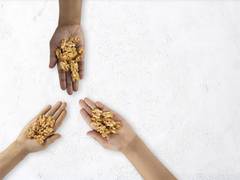 
      
      California Walnuts launches Global "Power of 3" Campaign to...
      
      