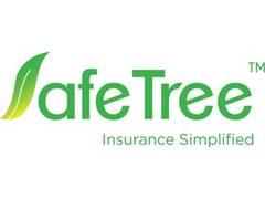 
      
      SafeTree's digital platforms are changing MSME landscape
      
      