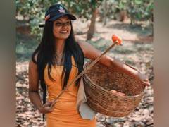 
      
      Novotel Goa Resorts &amp; Spa introduces cashew trail
      
      