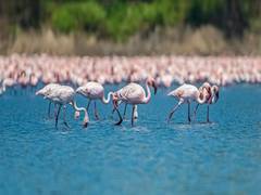 
      
      With Mumbai's biodiversity and green spaces under threat,...
      
      