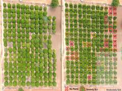 
      
      Samhitha, India's first precision farming advisory, clocks 30...
      
      
