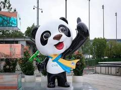 
      
      The fifth CIIE: Praised by business elites, championed by firms
      
      