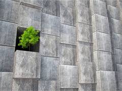 
      
      Aligning business goals and sustainability - The way forward
      
      