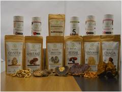 
      
      Reimagine healthy living with Medicinal Mushrooms by Rooted...
      
      