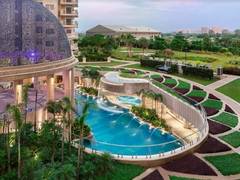 
      
      Ace Golfshire receives overwhelming response by clocking 100...
      
      