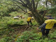 
      
      4 human skeletons found during search operation in Uttarakhand
      
      