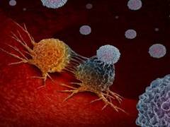 
      
      Gut disease linked to brain injury in premature infants: Study
      
      