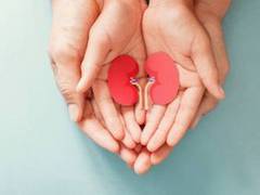 
      
      Stem cell scientists make big progress in building mini-kidneys
      
      
