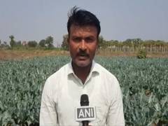 
      
      Nashik farmer cultivates high-nutrient, colourful, hybrid...
      
      