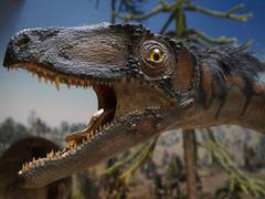 
      
      Research shows dinosaurs lived in greenhouse climate with hot...
      
      