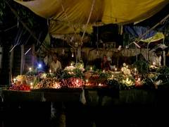 
      
      Ahmedabad fights Covid: Except milk parlours, chemists, all...
      
      