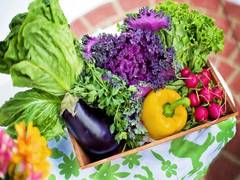 
      
      Researchers identify plants that might pose adverse effects...
      
      