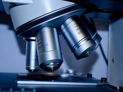 
    Researchers develop novel way to detect blood clots
    