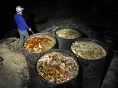 
      
      Food waste becoming a bigger problem as tourism industry...
      
      