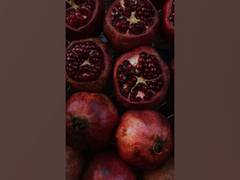 
      
      Utilization of energy can be affected genetic differences
      
      