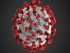 
      
       COVID-19 cases spread in China earlier than recorded, says...
      
      