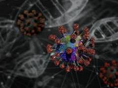 
      
      US reports first 'isolated' coronavirus case 
      
      