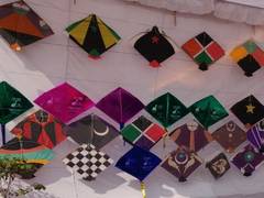 
      
      Delhi CEO follows traditional kite flying sport to aware...
      
      