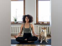 
      
      Study finds pet and their owners diet together
      
      