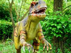 
    Footprints from 6 dinosaur species discovered in UK's Kent
    