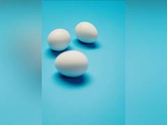 
      
      Study sheds light on how egg consumption can increase metabolites
      
      