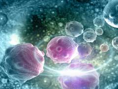 
      
      Researchers shed light on identical mutations that cause...
      
      