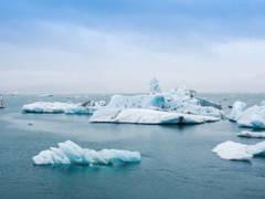 
      
      Study finds climate change lowers nutrition, increases...
      
      