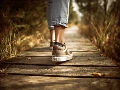 
    Spending time outdoors has a positive effect on the brain: Study
    