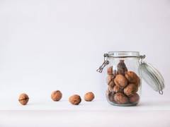 
    Eating walnuts daily lowers 'bad' cholesterol, may reduce cardiovascular disease risk: Study
    
