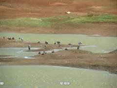 
      
      Heatwave leads to water crisis in Coimbatore
      
      