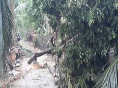 
      
      Cyclone Yaas: Houses damaged, Aadhaar, voter cards missing...
      
      