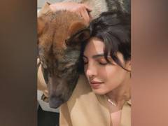 
      
      Priyanka Chopra sends 'virtual hug' for fans
      
      