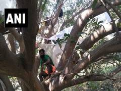 
      
      Villagers in West Bengal quarantined themselves on tree after...
      
      