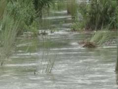 
      
      West Bengal: Overflowing Silaboti River affects normal life...
      
      