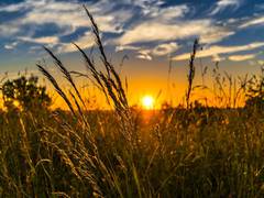 
      
      Study finds urbanisation not always bad for food, land use...
      
      