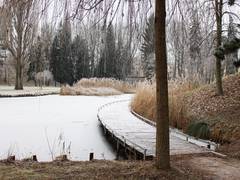 
      
      Researchers develop antifreeze cream to prevent frostbite injuries
      
      