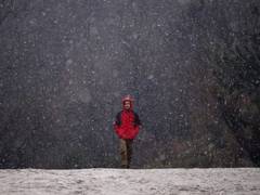 
     No respite from cold waves in northern India
    