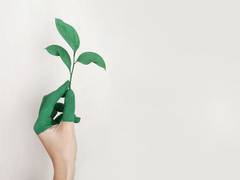 
      
      World Environment Day 2021: Theme, history and significance
      
      