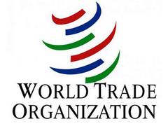
      
      WTO General Council grants Turkmenistan observer status
      
      