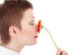
      
      Nose, throat study reveals why people with COVID-19 may lose...
      
      