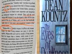 
       Conspiracy theorists suggest American novelist predicted coronavirus four decades ago
    