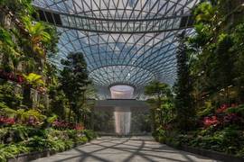 
      
      Will Changi Airport's Jewel draw international and Indian...
      
      