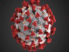 
      
      COVID-19 antibodies persist at least nine months after...
      
      