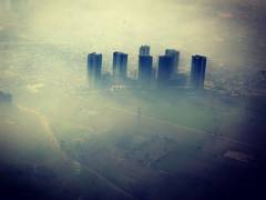 
      
      Study says pollution is ruining ecosystem too
      
      