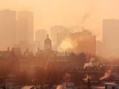 
      
      Pollution in cities damaging ecosystems: Study
      
      