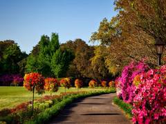 
      
      Researchers map how city people get health boost from nature
      
      