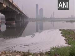 
    Thin layer of toxic foam floats near Yamuna River bank in Delhi
    