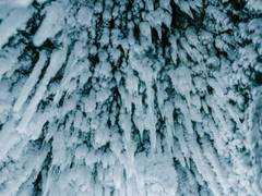 
      
      Researchers discover a new form of ice
      
      