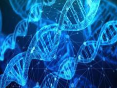 
      
      New gene treatment can lower the risk of bleeding in people
      
      