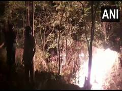 
      
      Chhattisgarh: Forest dept officials perform last rites of tiger
      
      